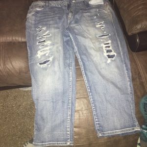 Lane Bryant capris *Brand New*